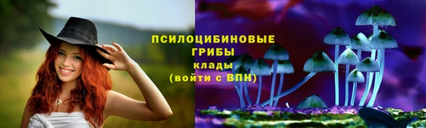 MDMA Premium VHQ Бронницы