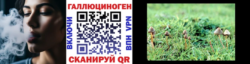 мега рабочий сайт  сколько стоит  Кириши  Псилоцибиновые грибы GOLDEN TEACHER 