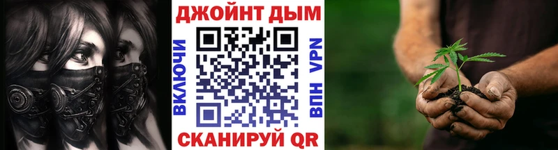 наркота  Кириши  Каннабис гибрид 